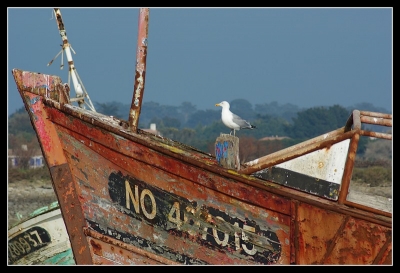 2009-02-23 / Biboof
Par: Biboof - [Série] Epaves de bateaux a Noirmoutier
