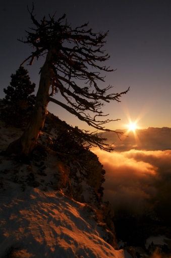 Janvier 2011 - gnomovtt
Janvier 2011 - gnomovtt
