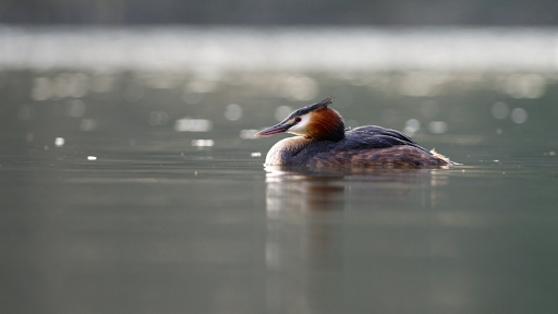 Mars 2011 - dimvig
Mars 2011 - dimvig
