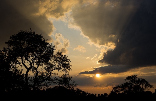 Juin 2011 - neosilencers 
Juin 2011 - neosilencers
