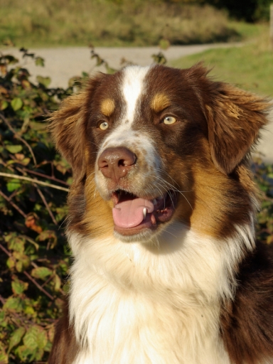 Juillet 2011 - Hermès
Juillet 2011 - Hermes
