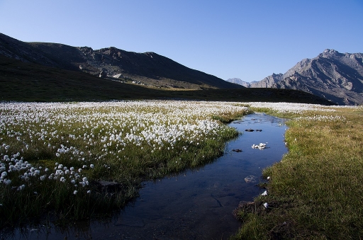 Septembre 2011 - neosilencers
Septembre 2011 - neosilencers
