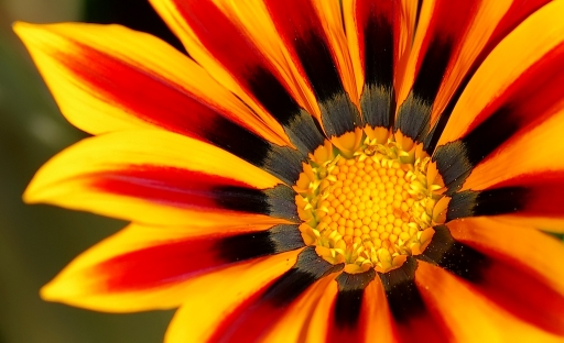 Octobre 2011 - JoCar
Octobre 2011 - JoCar
