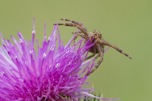 Octobre 2011 - neosilencers
Octobre 2011 - neosilencers
