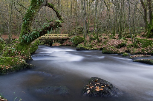 Novembre 2011 - neosilencers
Novembre 2011 - neosilencers
