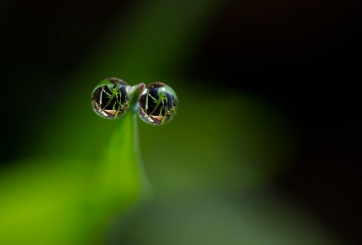 Novembre 2011 - neosilencers
Novembre 2011 - neosilencers
