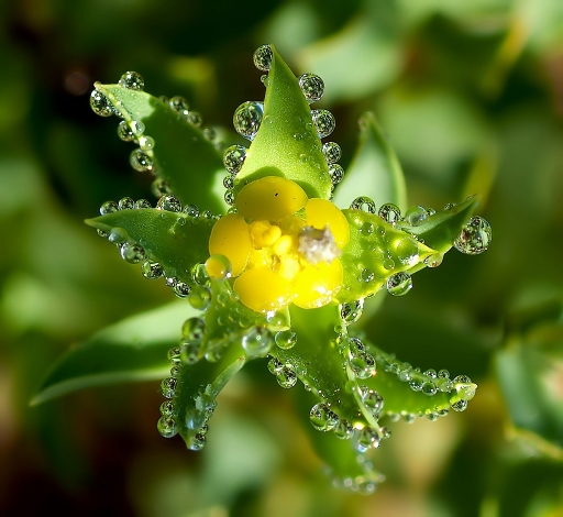Juillet 2011 - dedales
Juillet 2011 - dedales
