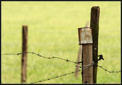 2010-06-01 / perreg
Par: perreg - [ Studio & inclassables ]
