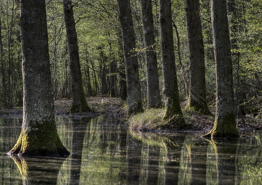 2015-04-16 / deche
deche [ Photographies HDR et DRI ]
