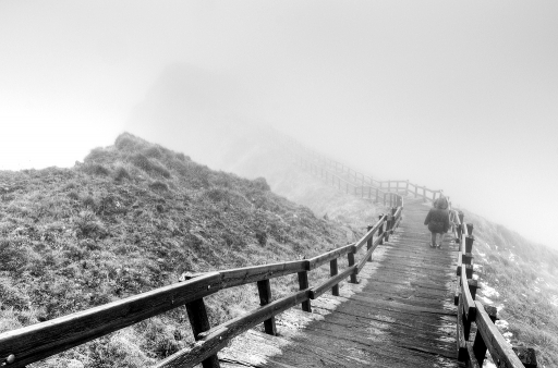 2015-11-04 / neosilencers
neosilencers [ Paysages et elements naturels ]
