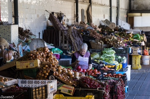 2017-03-20 / Ducatst2
Ducatst2 "Petite promenade a Porto"
