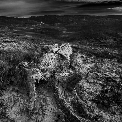 2017-12-18 / step55
step55 [Natures mortes, photos d'objets] 
