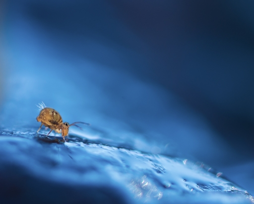 2018-02-04 olilignan
olilignan "Un monde fantastique 4"
