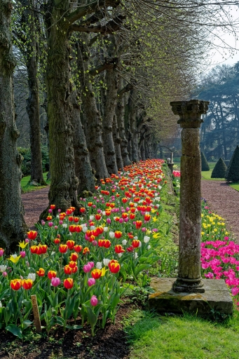 2019-06-04 Hermes
Hermes [Flore et Botanique]
