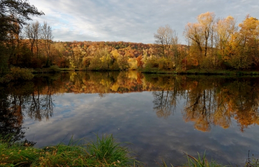 2019-10-07 charlysouho
charlysouho [Paysages et elements naturels]
