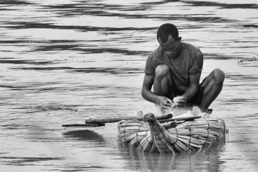 2020-05-17 david81
david81 [Portraits]
