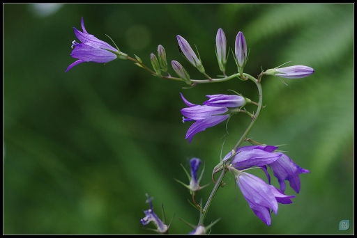 Mai 2011 - marc_delamain
Mai 2011 - marc_delamain
