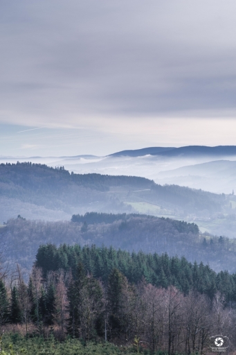 2021-02-22 nicolas03
nicolas03 [Paysages et éléments naturels]
