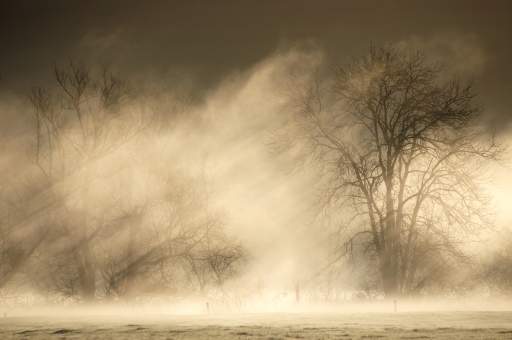 2021-03-30 charlysouho
charlysouho [Paysages et éléments naturels] 
