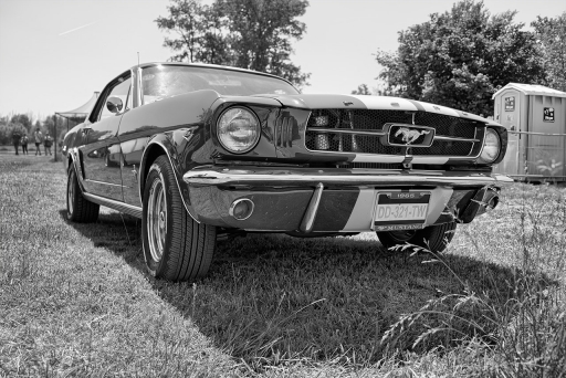 2021-06-21 berzip
berzip [Véhicules & Moyens de transport] 
