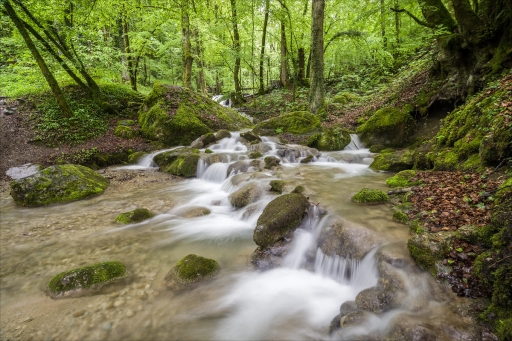 2021-09-28 pierrot73210
pierrot73210 [Paysages et éléments naturels]
