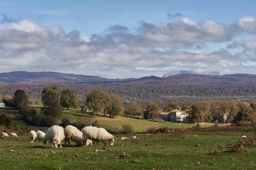 2021-11-16 vinhug
vinhug [Paysages et éléments naturels] 
