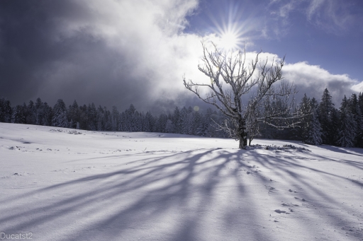 2022-01-24 ducatst2
ducatst2 [Paysages et éléments naturels] 
