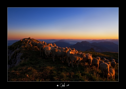 Septembre 2011 - NeroPsylo
Septembre 2011 - NeroPsylo
