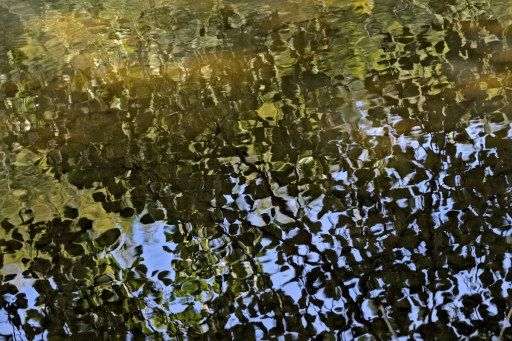 2023-10-02 Kape
Kape [Paysages et éléments naturels] 
