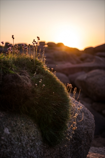 2024-03-04 pierrot73210
pierrot73210 [Paysages et éléments naturels] 
