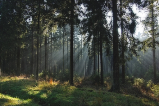 2020-01-13 Hermès
Hermès [Paysages et éléments naturels] 
