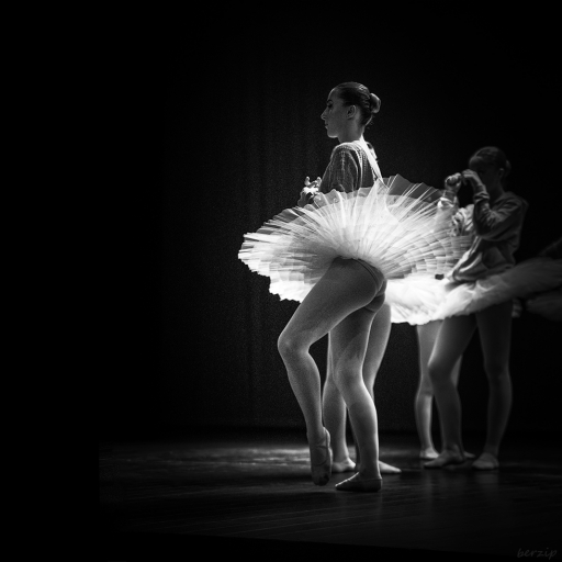 2019-01-28 berzip
berzip [Spectacles et Concerts]
