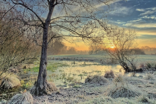 [ Décembre 2016 ] Ambiance hivernale
Foetal "Matin d'hiver dans le marais"
