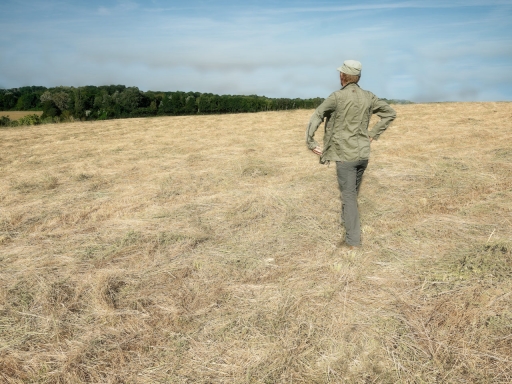 [Juillet-août 2021] Faussaires !
Foetal "Turkey Pond"
