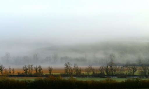 2018-02-19 / charlysouho
charlysouho [Paysages et elements naturels]
