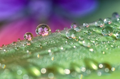 2014-08-29 / olilignan
olilignan [ Gouttes ]
