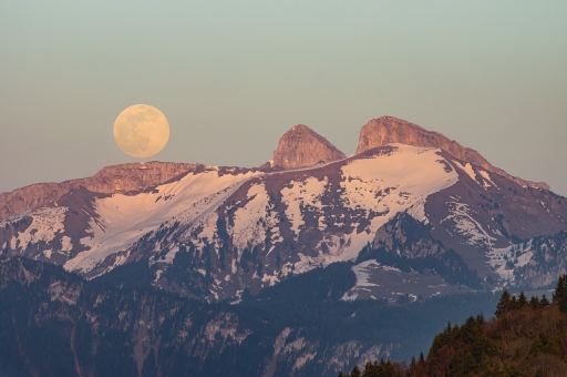 2020-04-13 ASM
ASM [Paysages et éléments]
