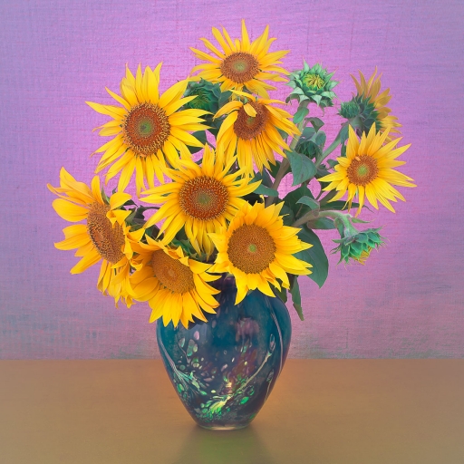 2020-09-22 Opus21
Opus21 [Natures mortes, photos d'objets] 
