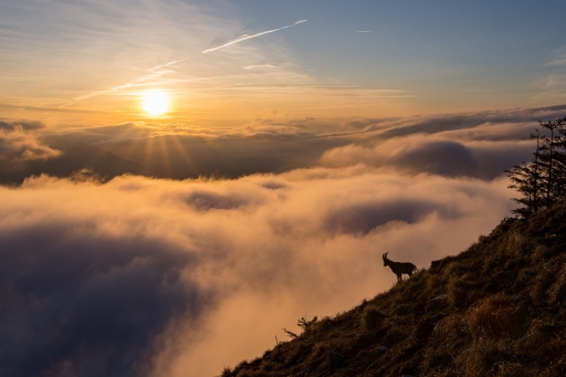 2023-02-28 ASM
ASM  [Paysages et éléments naturels] 
