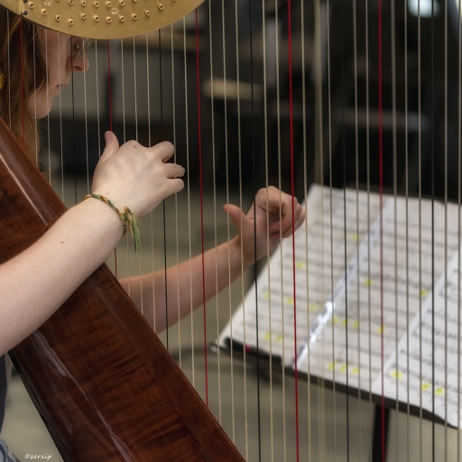 2023-06-19 berzip
berzip [Spectacles et Concerts] 
