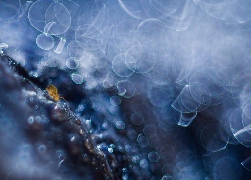 2017-12-11 Olilignan 
Olilignan [Serie] Un monde fantastique 3
