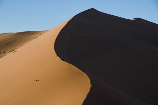 [Mars 2020] Bicolore
SPentaxQR "Ying et yang"
