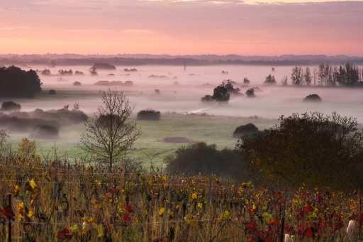 [ Novembre 2011 ] Thème : Photo d'automne
"Entre vignes et marais" par blop

