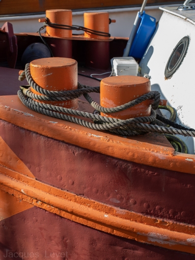 2021-08-10 Pech_les oies
Pech_les oies [Natures mortes, photos d'objets] 
