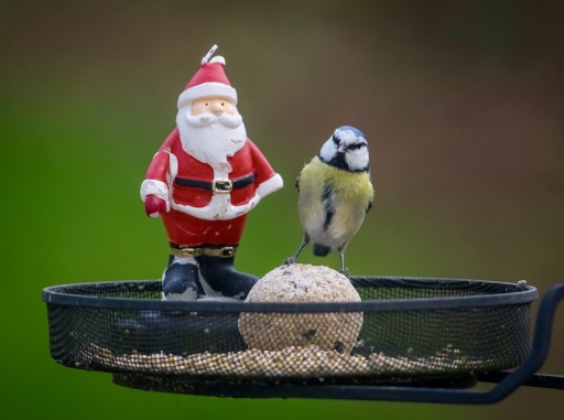 2021-01-04 Mickmac
Mickmac [Natures mortes, photos d'objets] 
