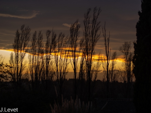 2023-01-02 Pech_les oies
Pech_les oies [Paysages et éléments naturels] 
