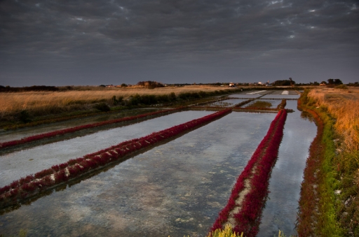 Août 2011 - gilles26
Aout 2011 - gilles26
