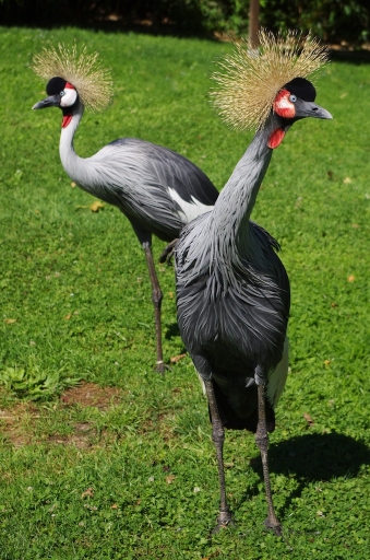 Août 2011 - Marceline
Aout 2011 - Marceline
