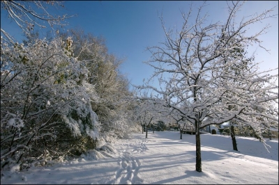 2009-10-28 / Pixel
Par: Pixel - [Serie] Premiere neige au Quebec
