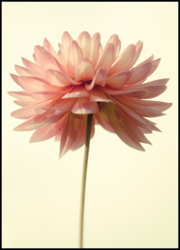 Septembre 2011 - Gko
Septembre 2011 - Gko
